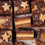 A tray of sliced Gingerbread Caramel Slice showing the spiced base and thick caramel layer