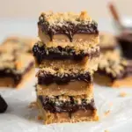 Golden Vegan Oatmeal Fudge Bars sliced into squares showing the thick chocolate layer