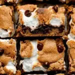 A stack of S'mores Cookie Bars showing layers of chocolate and toasted marshmallows