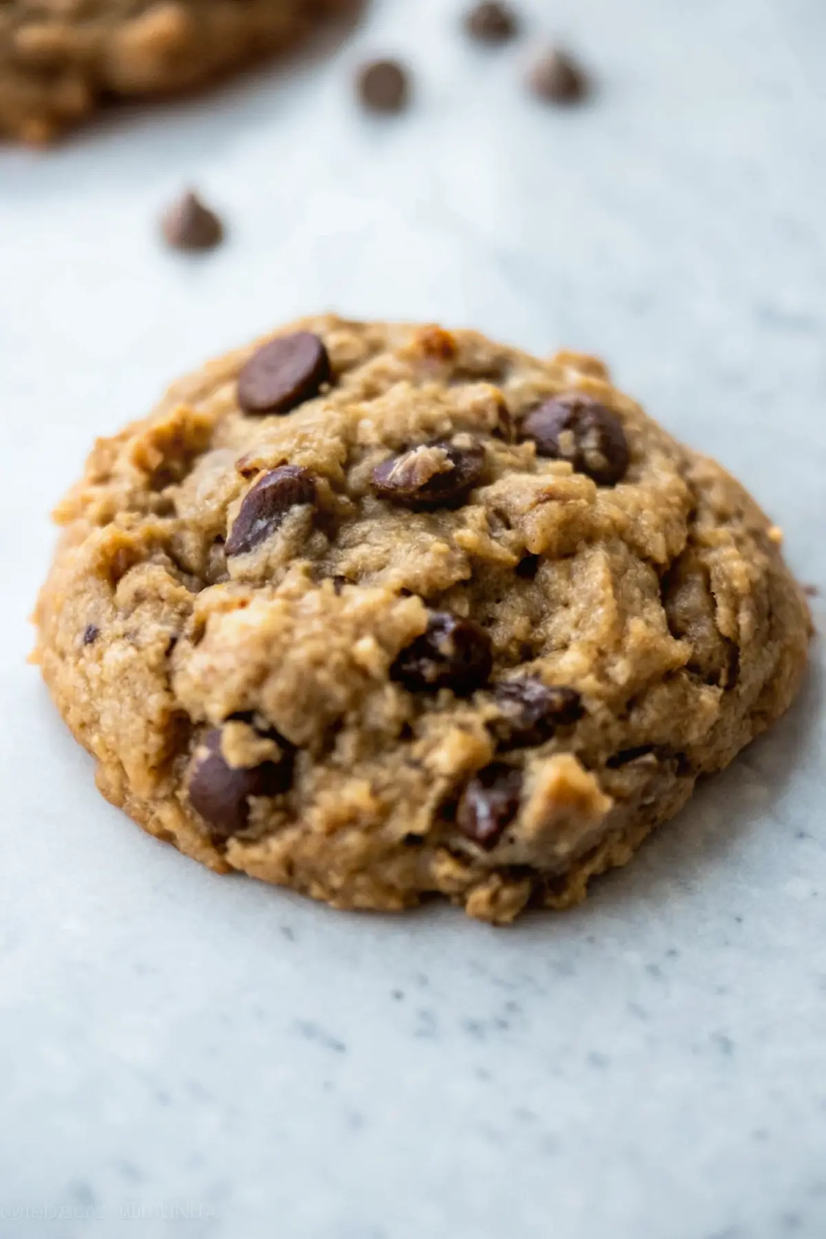Chewy Peanut Butter Oatmeal Cookies